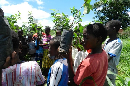 children planting